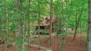 A cabin surrounded by trees with a stone pathway leading to it. - Elk Run is a stunning, two bedroom cabin situated directly on Cosby Creek. (Cosby)
