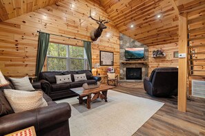 TV, fireplace, DVD player