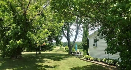 Comfortable vineyard view farmhouse