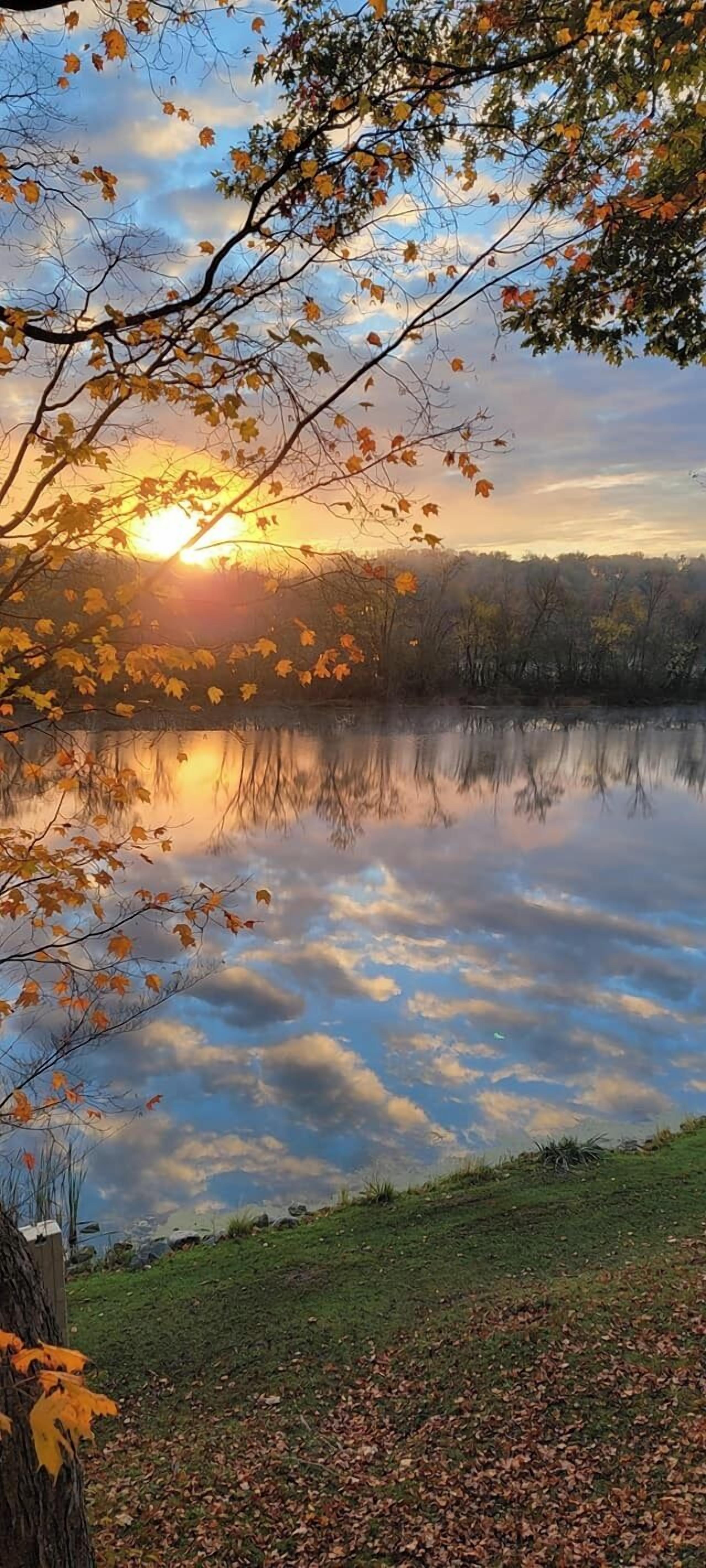 舒適小屋 | 露台/庭院