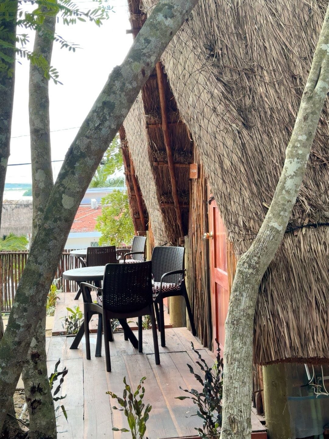 Foto - Hotel & Eco Cabañas Azul María Bacalar- Gratis Club de playa