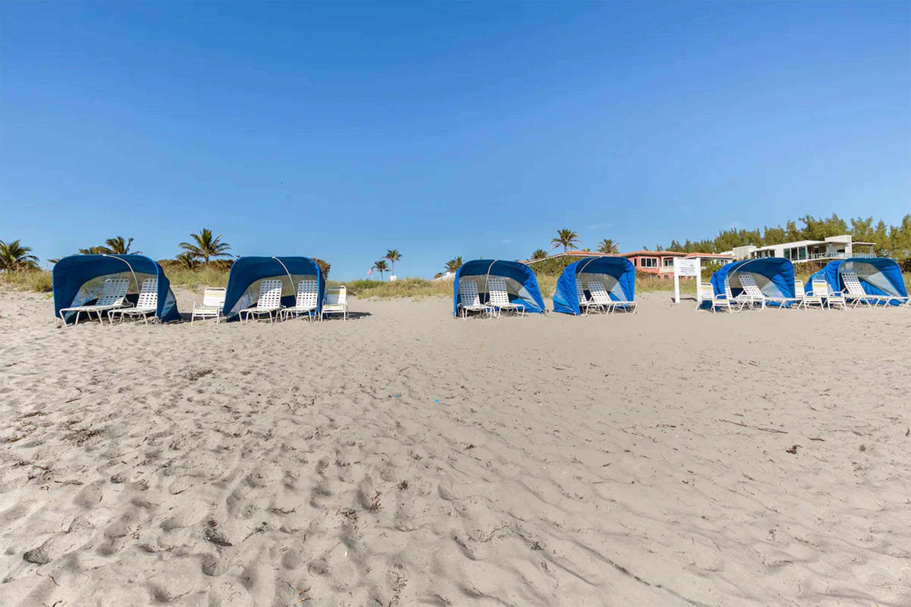 A beach with rows of blue beach chairs and umbrellas, palm trees, and a building in the background.
