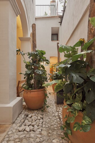 Casona Juárez - Porfirio / private plunge pool