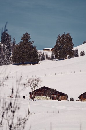 Schneebedeckte Landschaft mit Holzbauten, einem eingezäunten Bereich und blauem Himmel.
