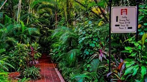 Explore the lush tropical garden, featuring a winding pathway and directional signs to the lobby, pool, and tower levels.