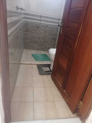 Shower, bidet, towels, soap