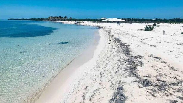 Nær stranden og strandhåndklær