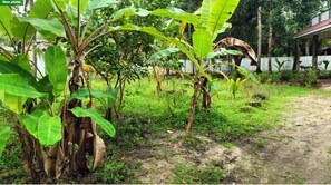 Property grounds - Double room #1 @PEACE HOME STAY (Pattanakkad)
