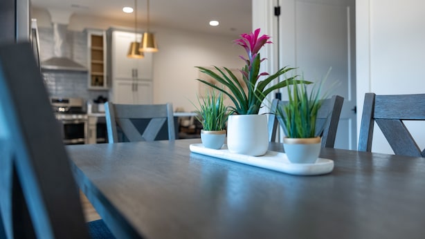 A dining table with three potted plants, a modern kitchen in the background, and a dining area with chairs. - Spacious Smoky Mountain Retreat in Sevierville (Sevierville)