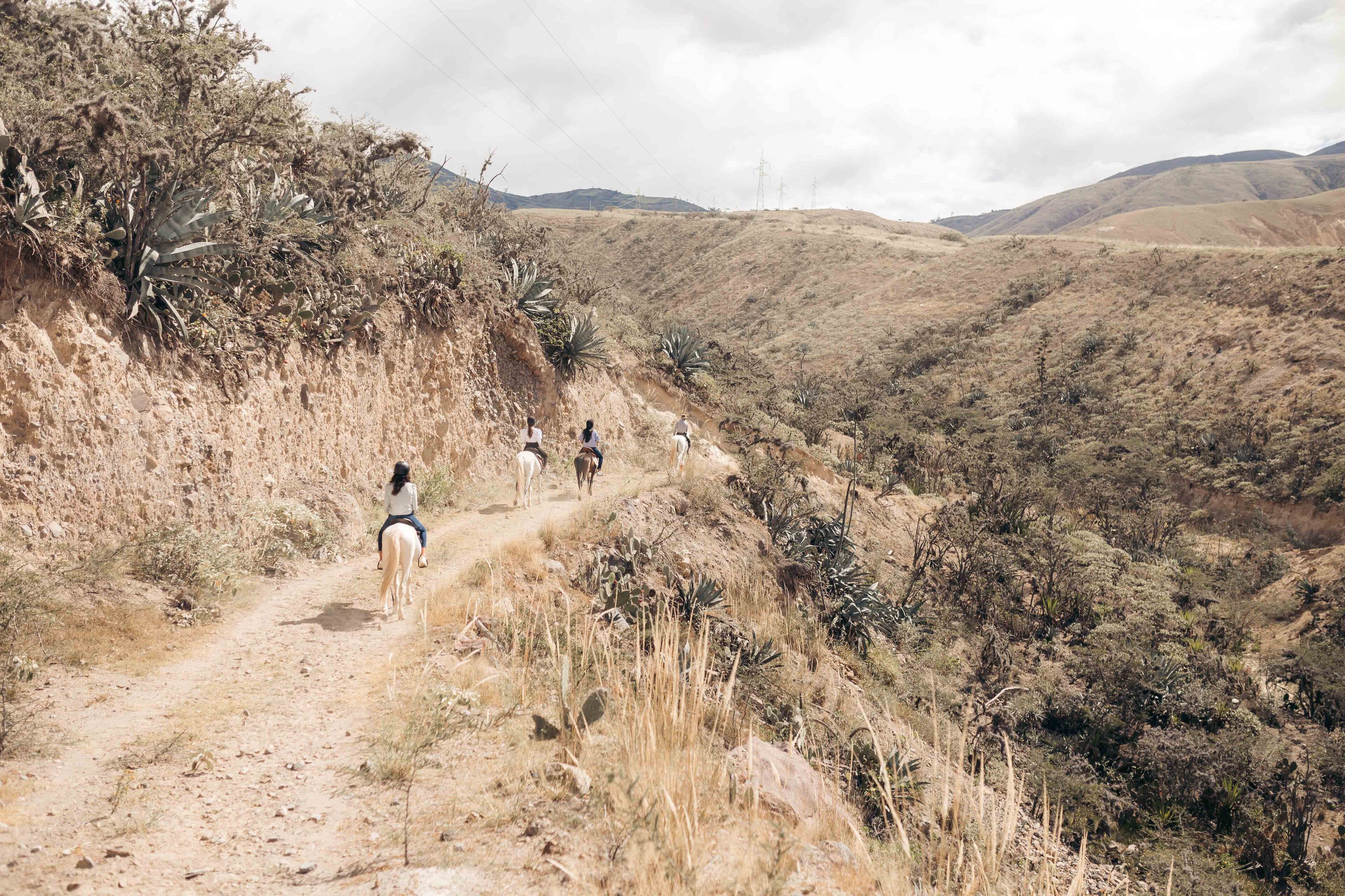 Un sendero pedregoso con jinetes y caballos en un paisaje árido y montañoso.