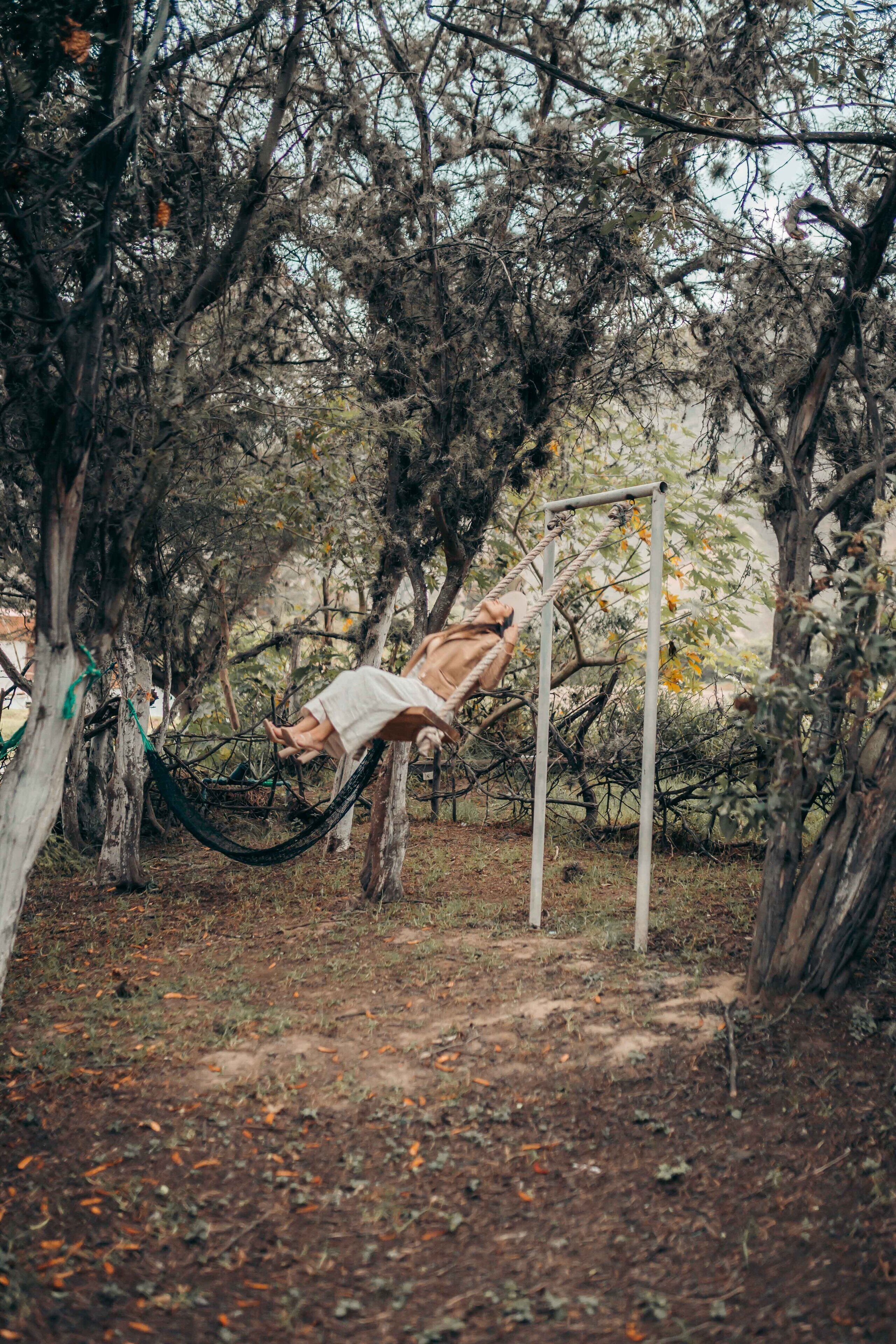 A hammock suspended between trees in a wooded area.