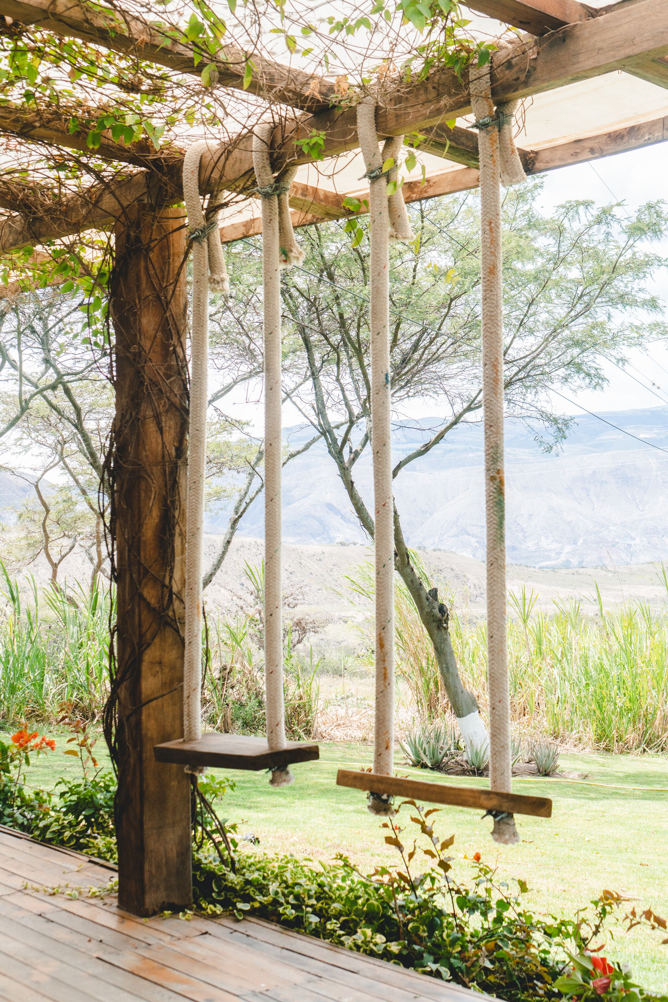 Un conjunto de columpios de madera con cuerdas, una plataforma de madera y vistas a un área verde con árboles y montañas al fondo.