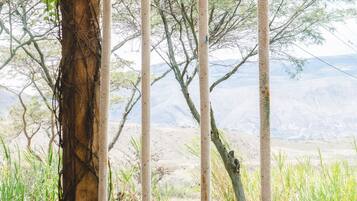 Un conjunto de columpios de madera con cuerdas, una plataforma de madera y vistas a un área verde con árboles y montañas al fondo.