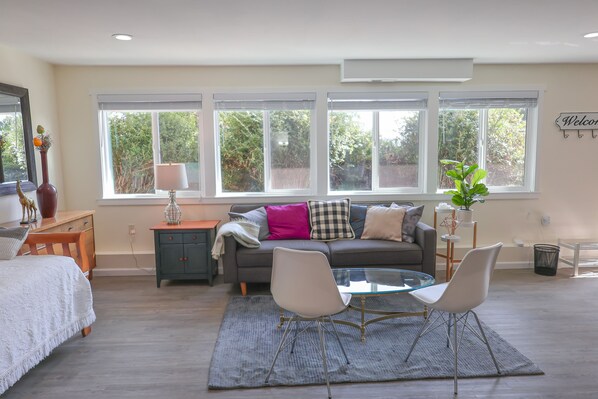 Smart TV - Convenient Lakeview 1 bed 1 bath home in Bellevue (Bellevue)