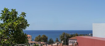 Vacations in Funchal, sea view - Casa Strelitzia I