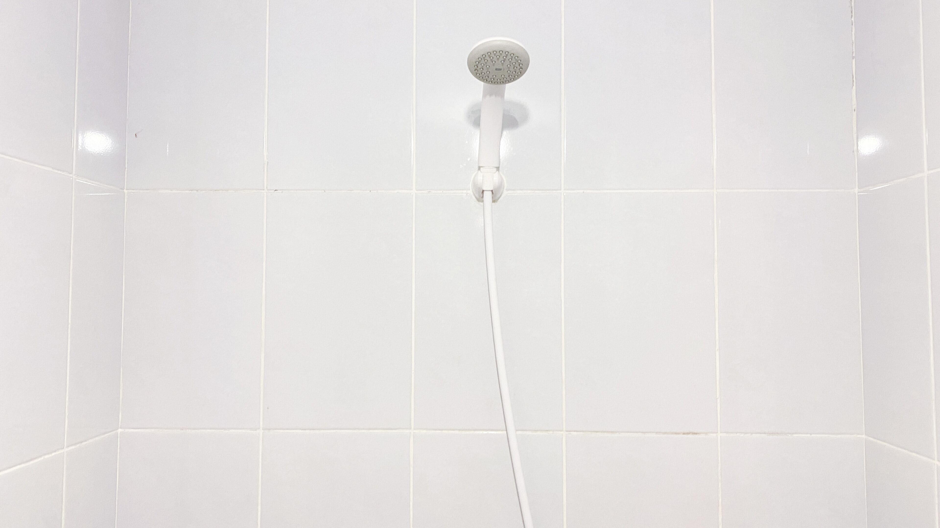 Studio | Salle de bain | Douche, serviettes fournies