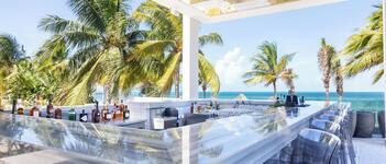 A bar area with a long counter, clear glasses, and a view of the ocean and palm trees.