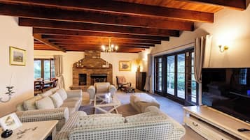 Smart TV, fireplace, DVD player, books