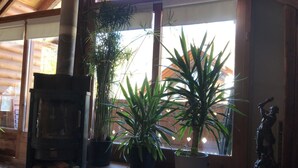 Een knus interieur met een open haard, plantenpotten en een beeld.