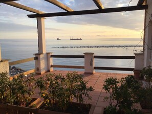 Terras