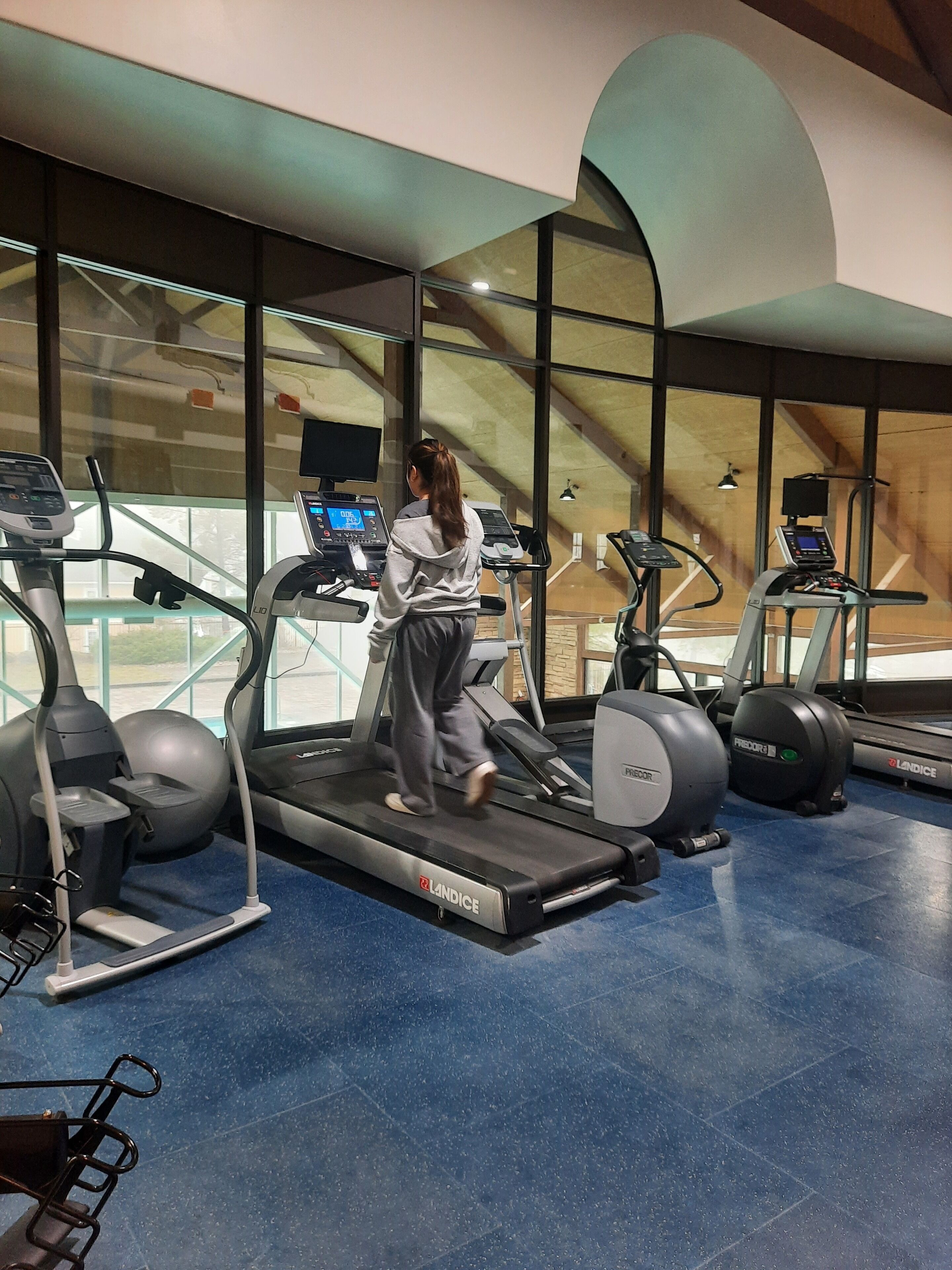 A gym with treadmills, ellipticals, and exercise balls.