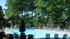 A swimming pool surrounded by lounge chairs and umbrellas, with trees in the background.