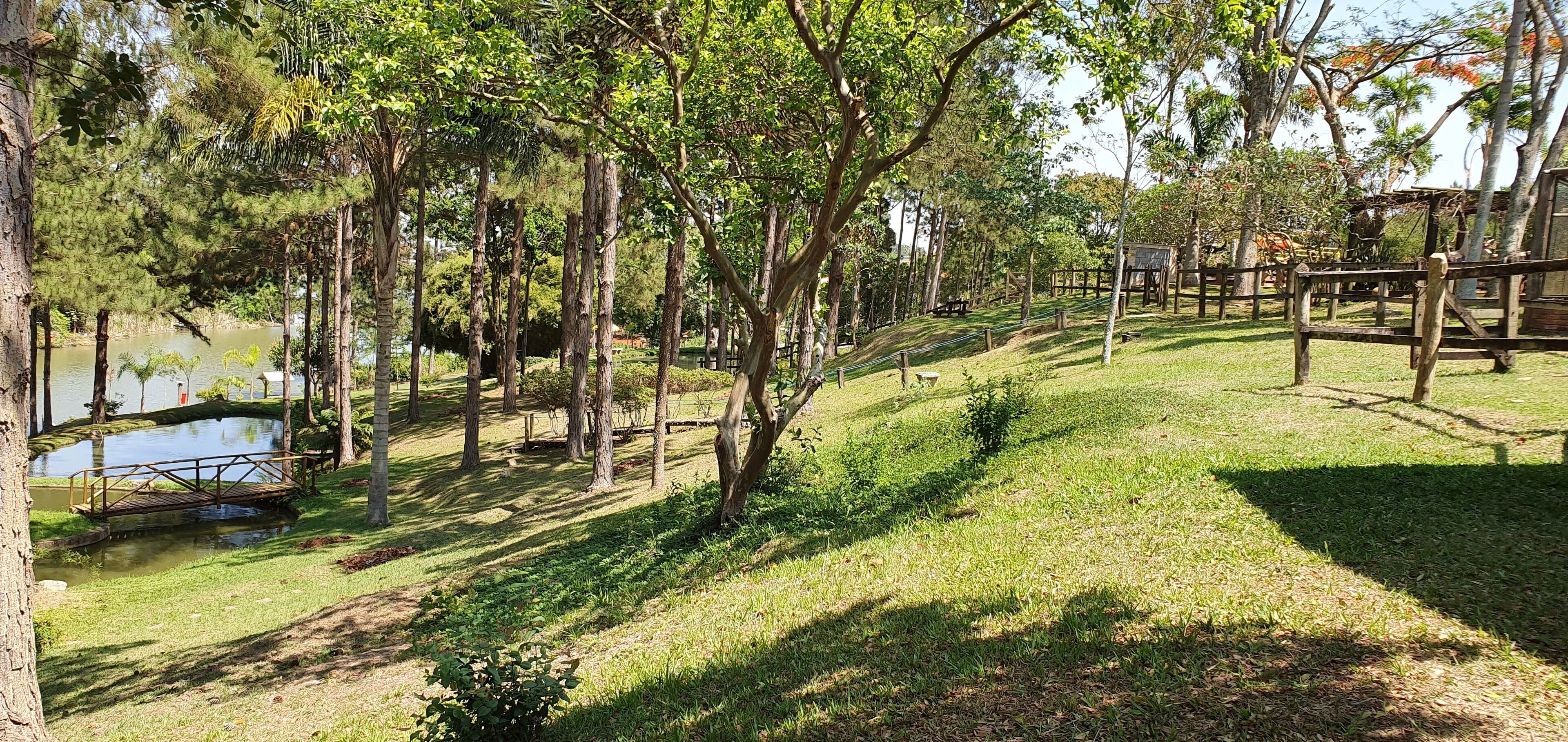 Un parque con un estanque, estructuras de madera y una zona verde.