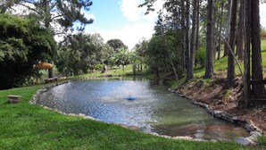 A pond with a fountain in a landscaped area with trees and a stone border.
