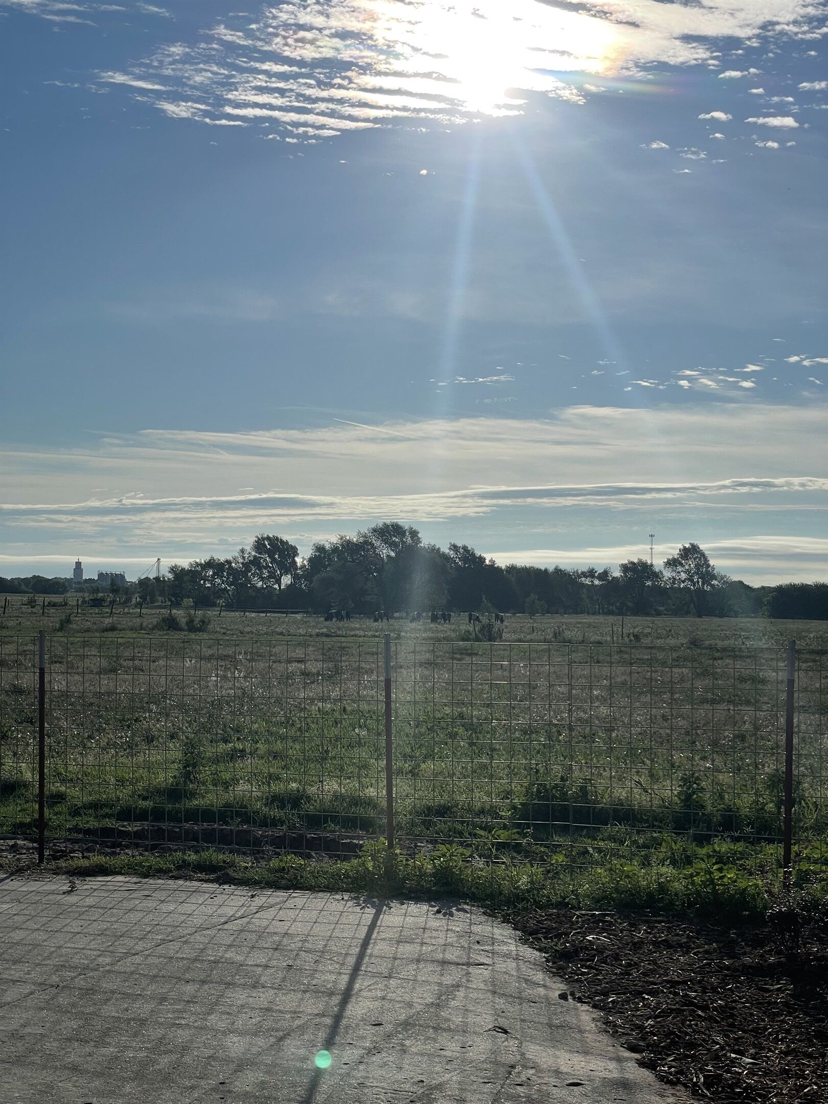 A fenced field with a clear sky and the sun shining.