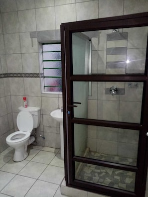 Shower, hydromassage showerhead, free toiletries, towels - DE ELLAS BOUTIQUE LODGE (Polokwane)