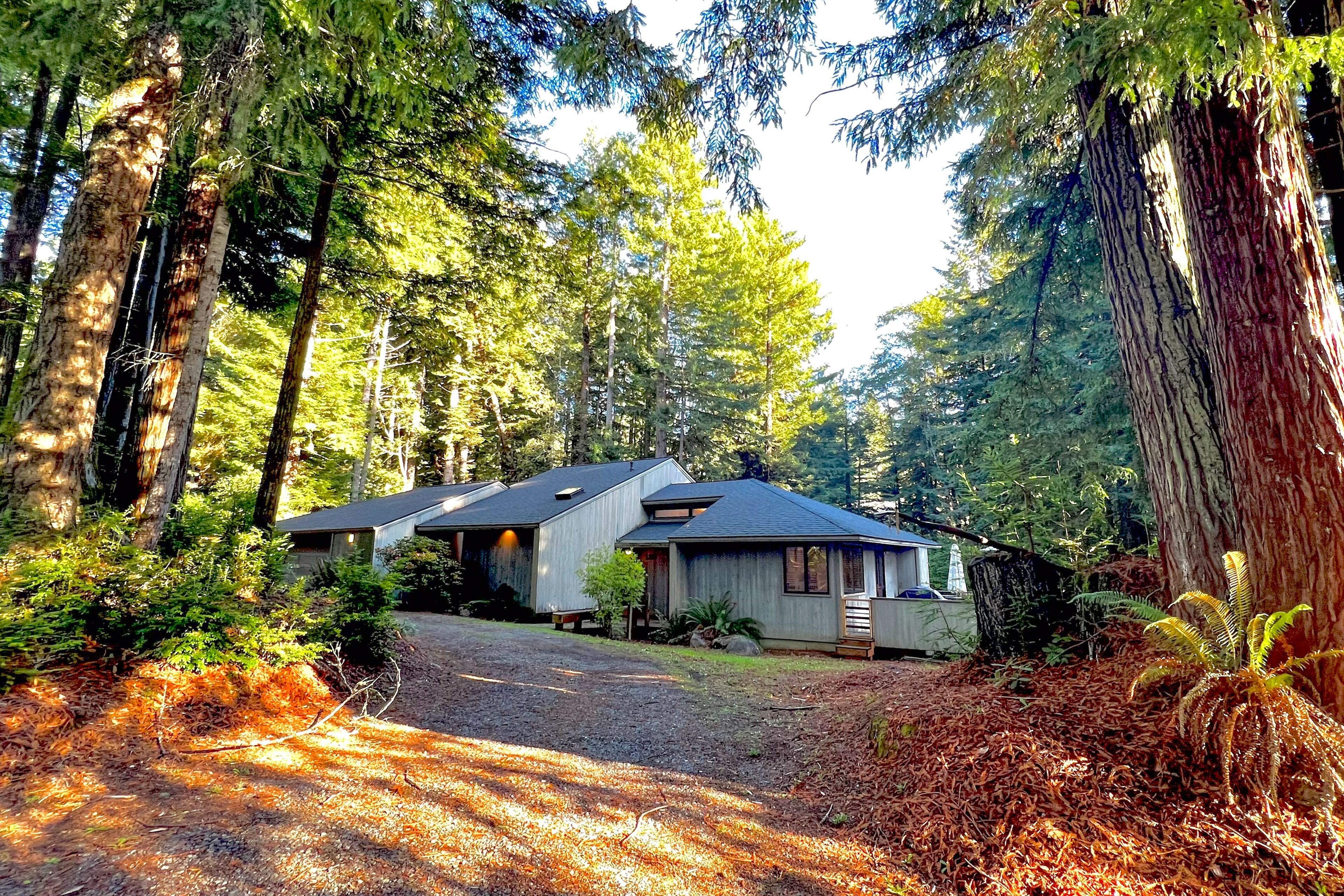 Redwood retreat with large deck, grill, AC, & art collection - dog-friendly