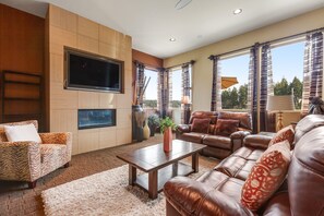 テレビ、暖炉、書庫