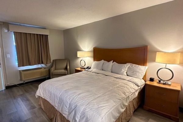Standard Single Room | Desk, laptop workspace, iron/ironing board, WiFi (free)