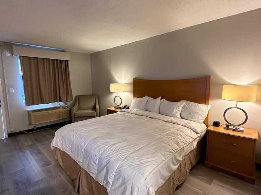 Standard Single Room | Desk, laptop workspace, iron/ironing board, free WiFi