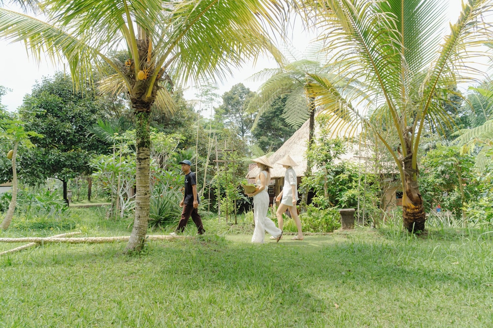 The Ridge Bali by null