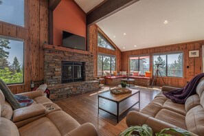 TV, fireplace, books