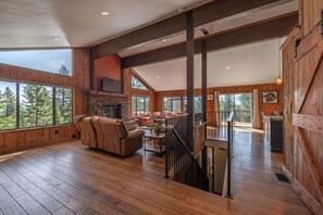 TV, fireplace, books