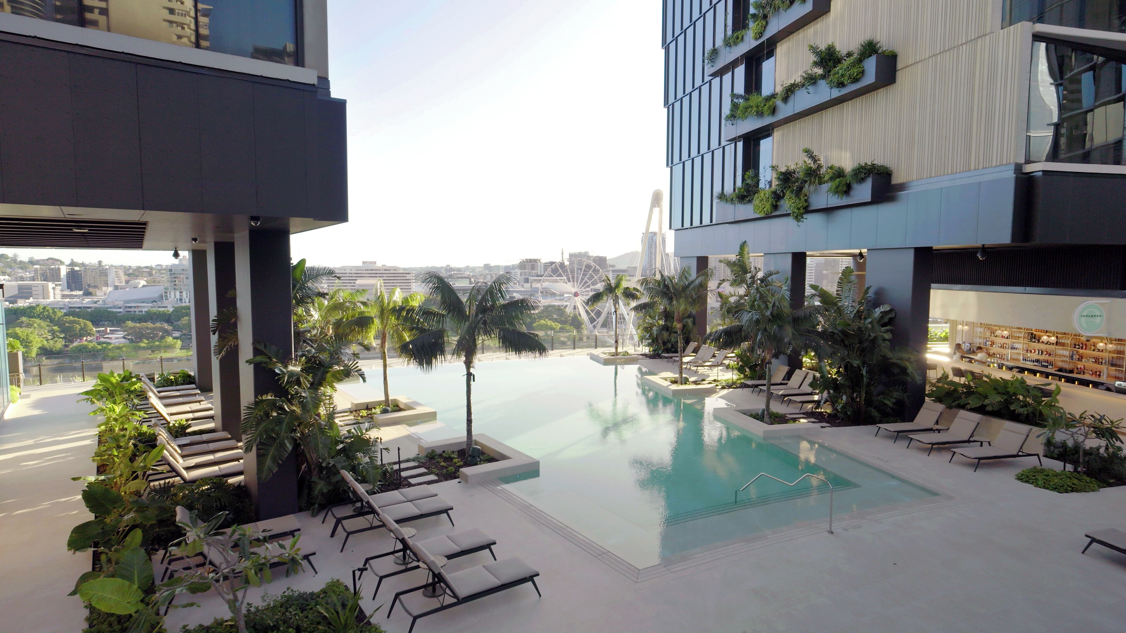 Un espace piscine aménagé sur le toit, avec des chaises longues, des palmiers et une vue sur le paysage urbain.