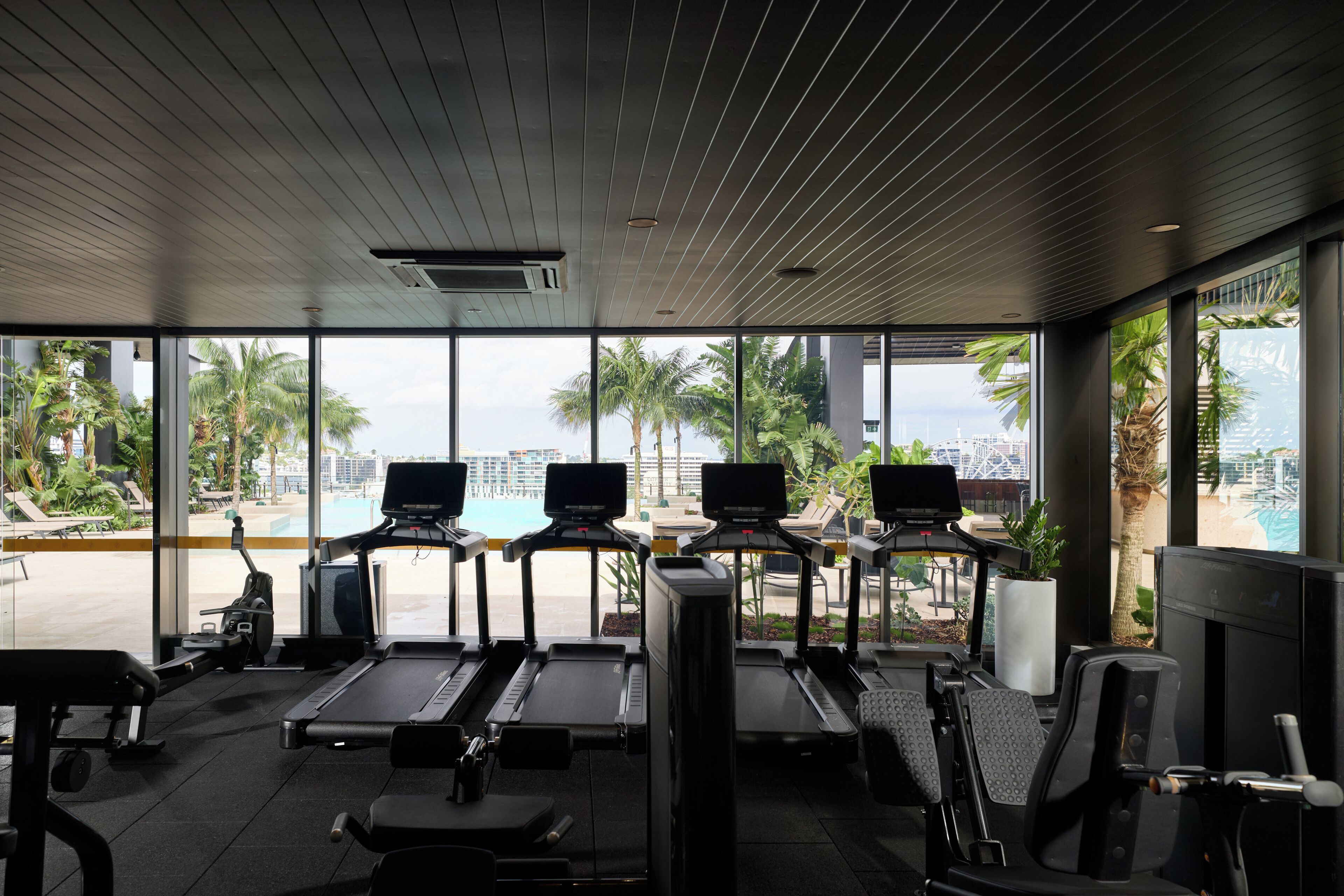 A gym with treadmills, exercise bikes, and a rowing machine, overlooking a pool and palm trees.