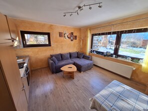 TV, video games, DVD player - Apartment 'Ferienwohnung Familie Balko' with Private Terrace, Private Garden and Wi-Fi (Arnsberg)