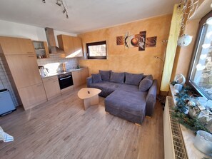 TV, video games, DVD player - Apartment 'Ferienwohnung Familie Balko' with Private Terrace, Private Garden and Wi-Fi (Arnsberg)