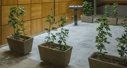 1Bed Apartment - Sleeps 4 - Balcony, Wifi, Parking