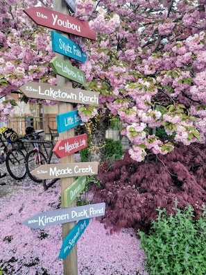 Detall de l'exterior