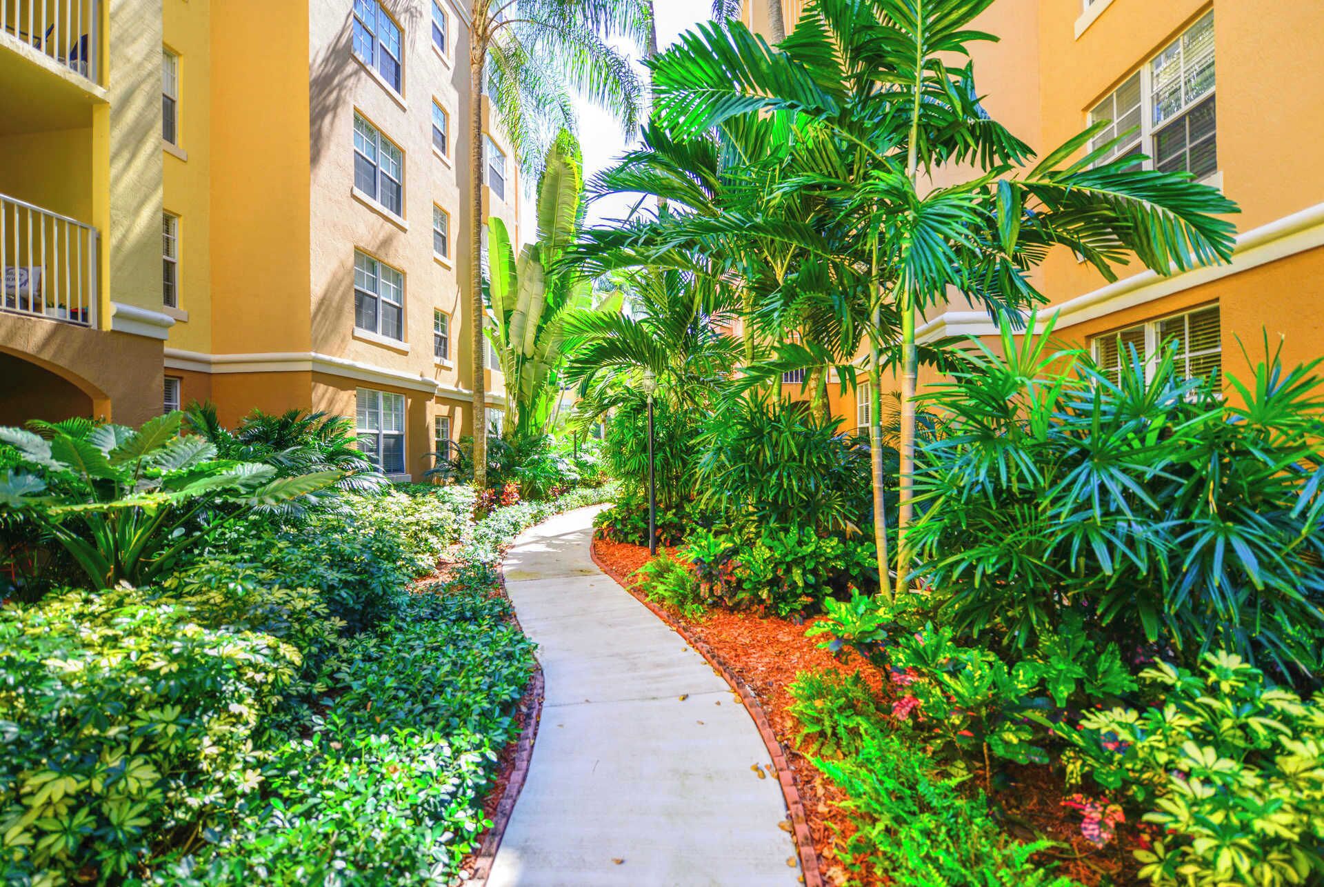 A pathway flanked by lush greenery and yellow buildings with multiple windows and balconies.