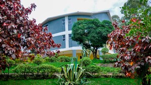 Un bâtiment à l’architecture moderne, entouré d’un jardin bien entretenu où poussent différentes espèces de plantes et qui est agrémenté d’un arbre central.