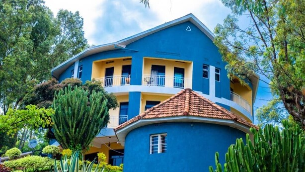 Un immeuble à plusieurs étages, doté d’une façade bleue et de touches de couleur jaune, entouré d’une végétation luxuriante et de cactus.