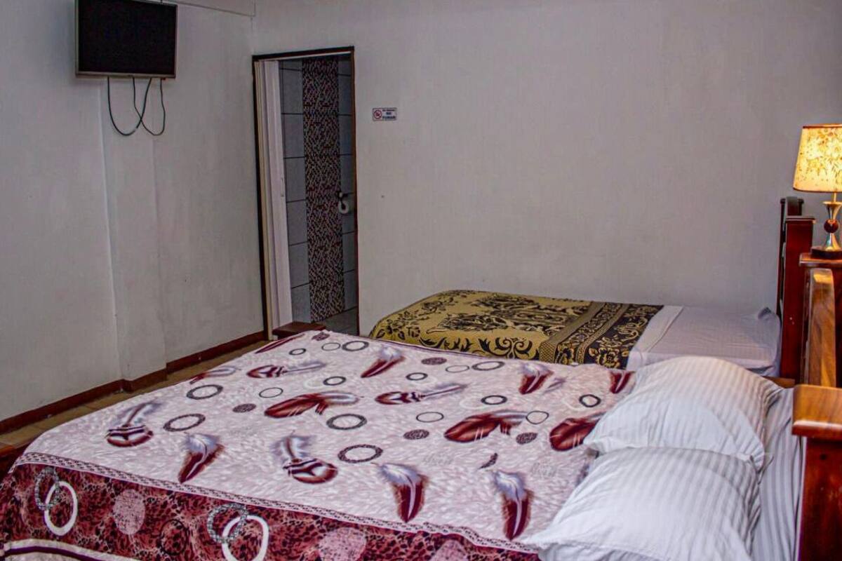 واي فاي م جانًا