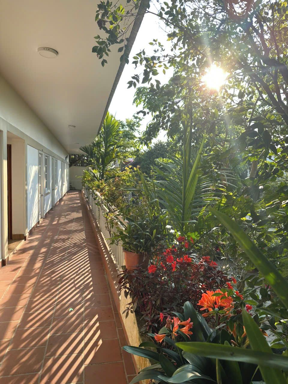 Un pasillo con suelo de baldosas, plantas en macetas y ambiente luminoso.
