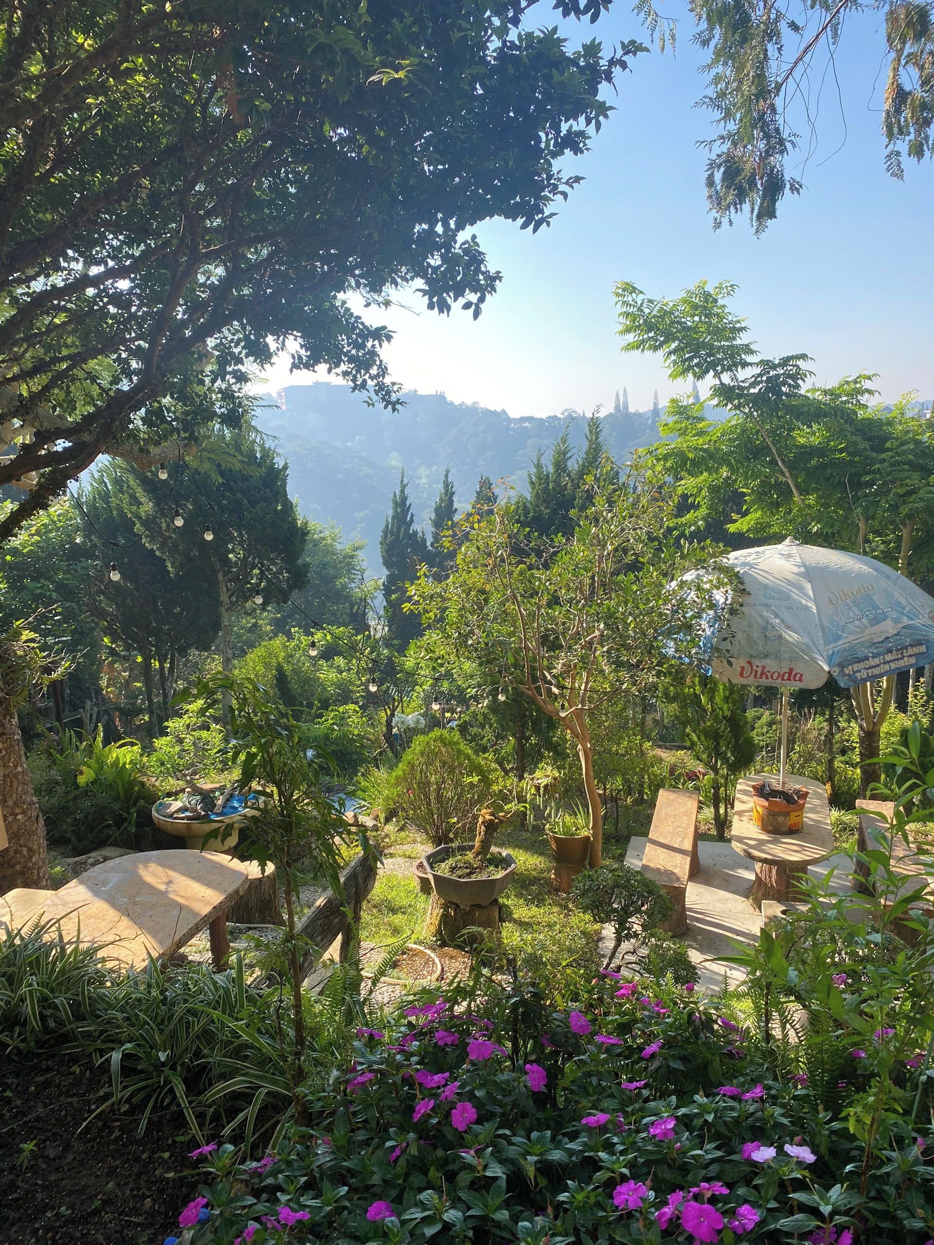 Um jardim com diversas plantas, uma mesa com um balde e uma placa que diz 'Vikoda'.
