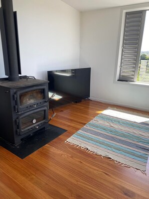 A room with a black wood-burning stove, a flat-screen TV, a window with blinds, and a striped rug on a wooden floor.